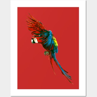 Scarlet Macaw 3 Posters and Art